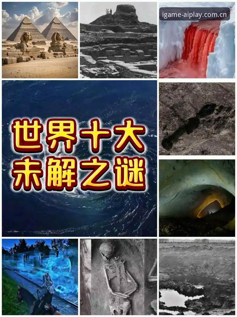 深度揭秘索斯盖特纪录片中的“男性圈层”——那些数字和避坑指南